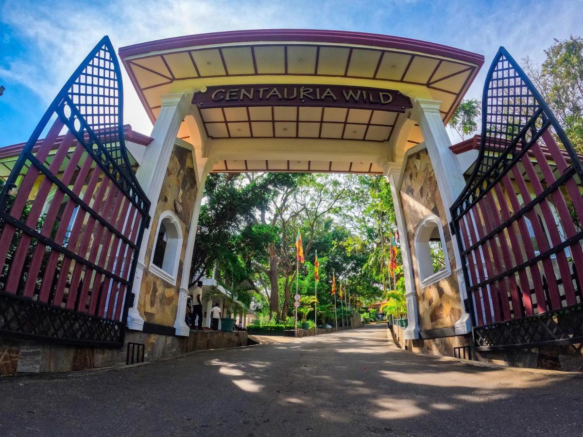 Hotel Centauria Wild Udawalawe Exterior foto